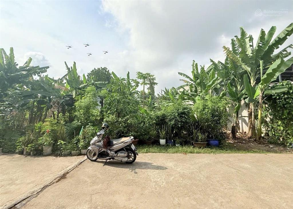 Cần tiền gấp giá cực sốc chính chủ bán đất thổ cư trục đường phùng hưng, an phước, long thành