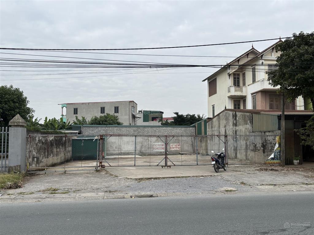 Cho thuế đất thôn siêu nghệ, phương kim thanh (huyện kim bảng cũ)