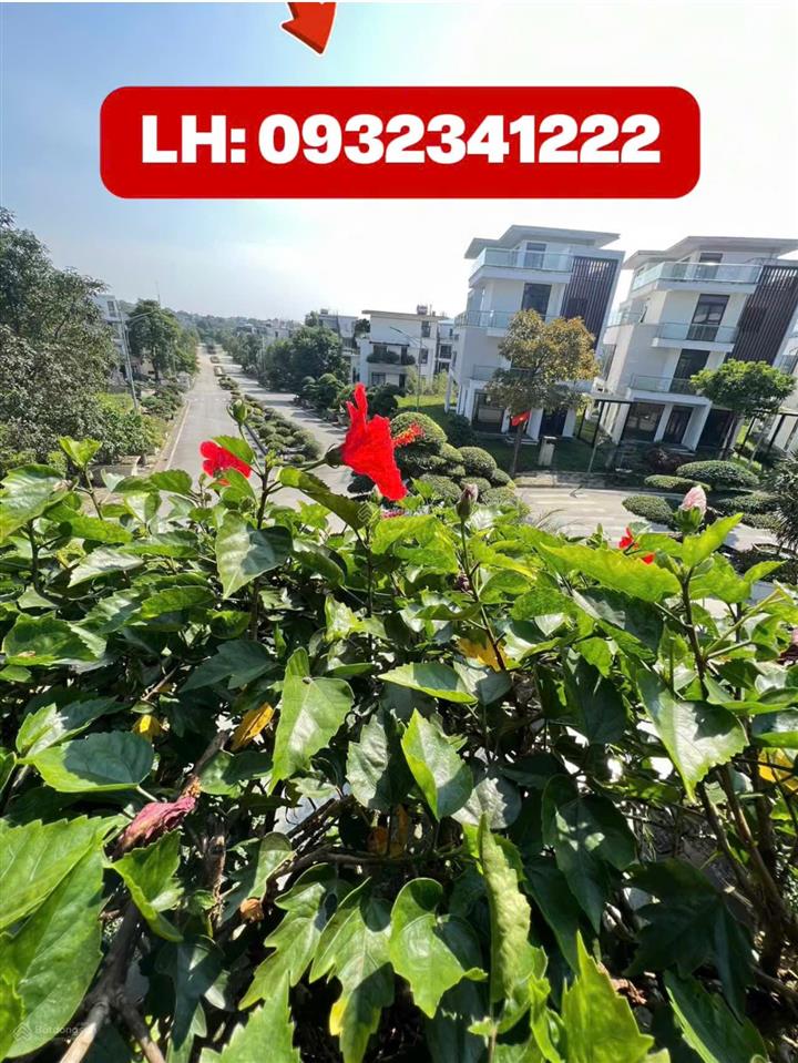 Bán gấp bt kđt phú cát city diện tích 180m2 giá đất 70tr/m2 view đẹp hàng hiếm