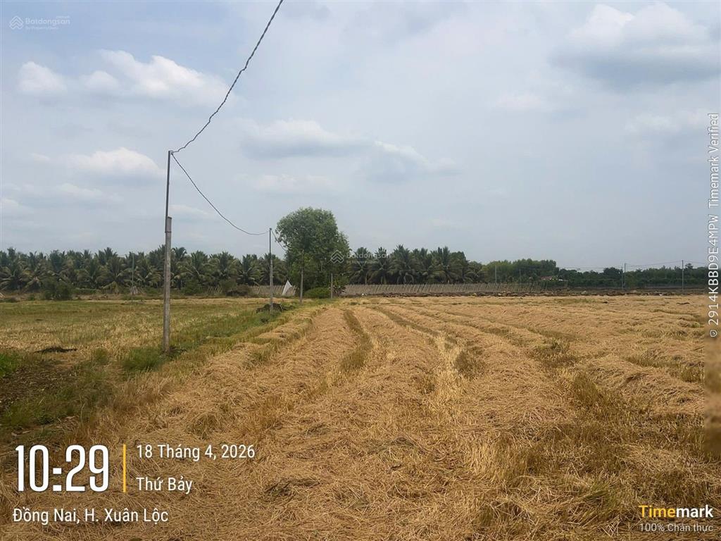 Đất chính chủ, gần dự án khu du lịch sinh thái nghỉ dưỡng núi chứa chan  tập đoàn sun group đầu tư