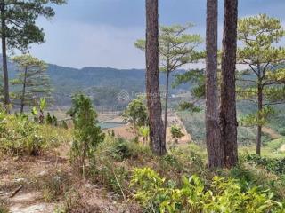 Bán lô đất tặng căn nhà gỗ xã xuân trường thành phố đà lạt năm gần hầm hoả xa