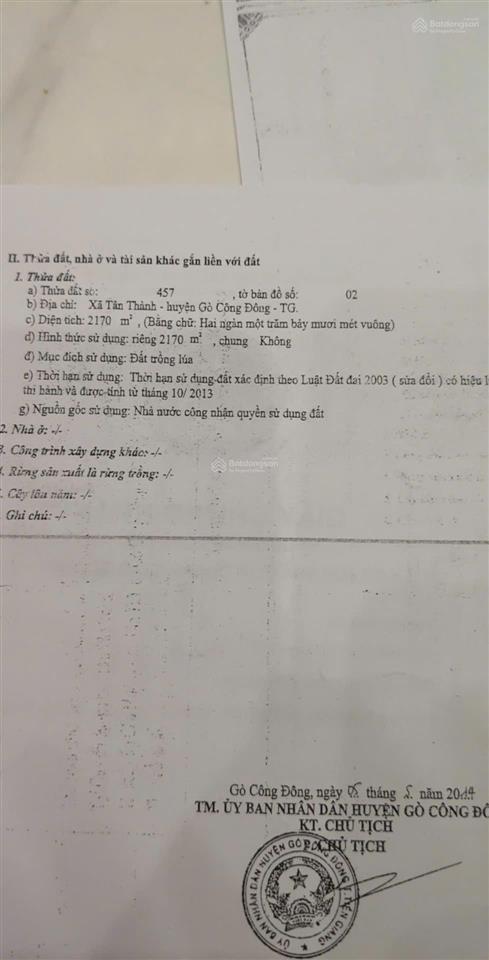 Gia đình kẹt vốn làm ăn nên bán mảnh đất lúa giá rẻ xã tân thành gò công đông tiền giang (cũ)