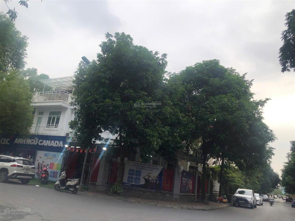 Biệt thự làng việt kiều châu âu mộ laolô góc, kinh doanh cà phê