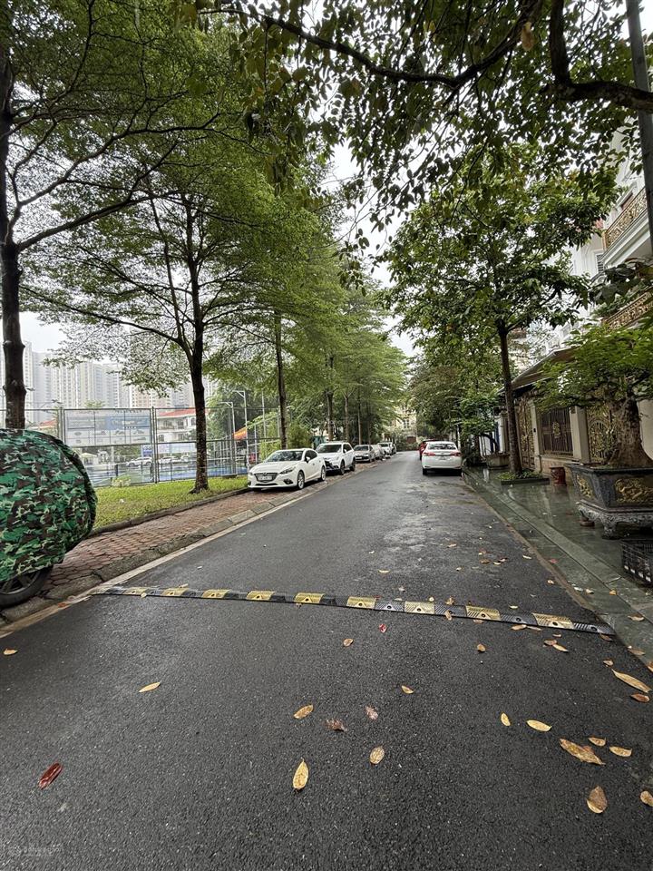 Biệt thự làng việt kiều châu âu mộ laolô góc, kinh doanh cà phê