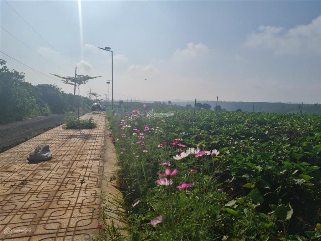 1049m2 quy hoạch full thổ cư. sẵn 100m2 thổ cư.  hà 0986 570 ***