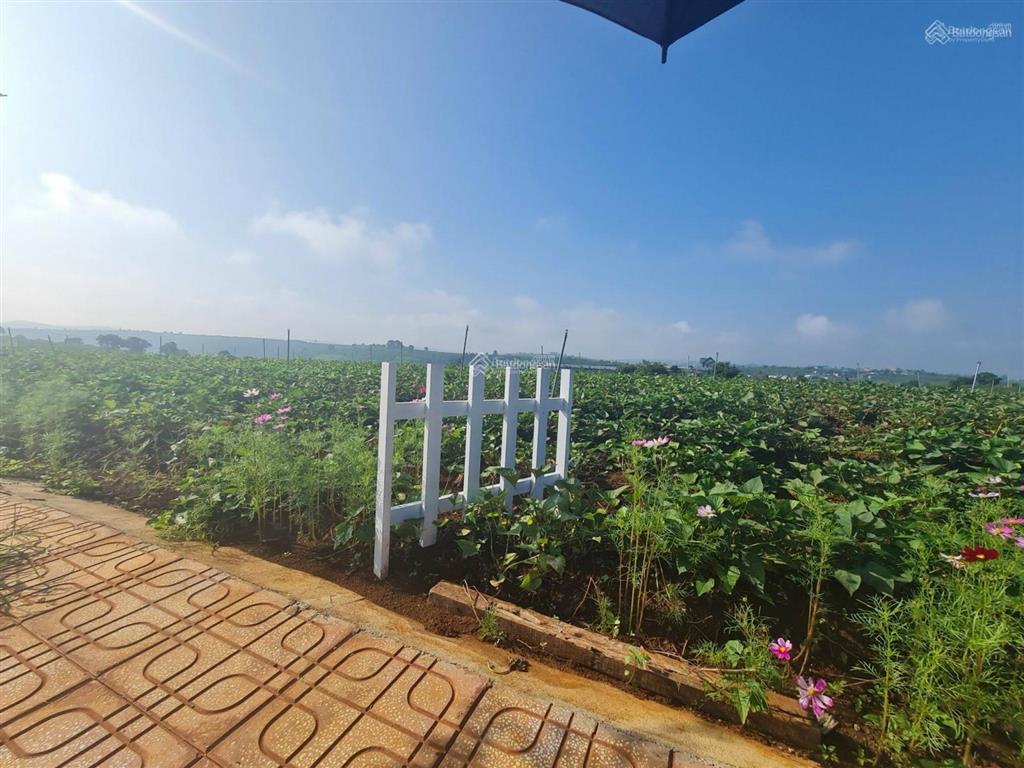 1049m2 quy hoạch full thổ cư. sẵn 100m2 thổ cư.  hà 0986 570 ***