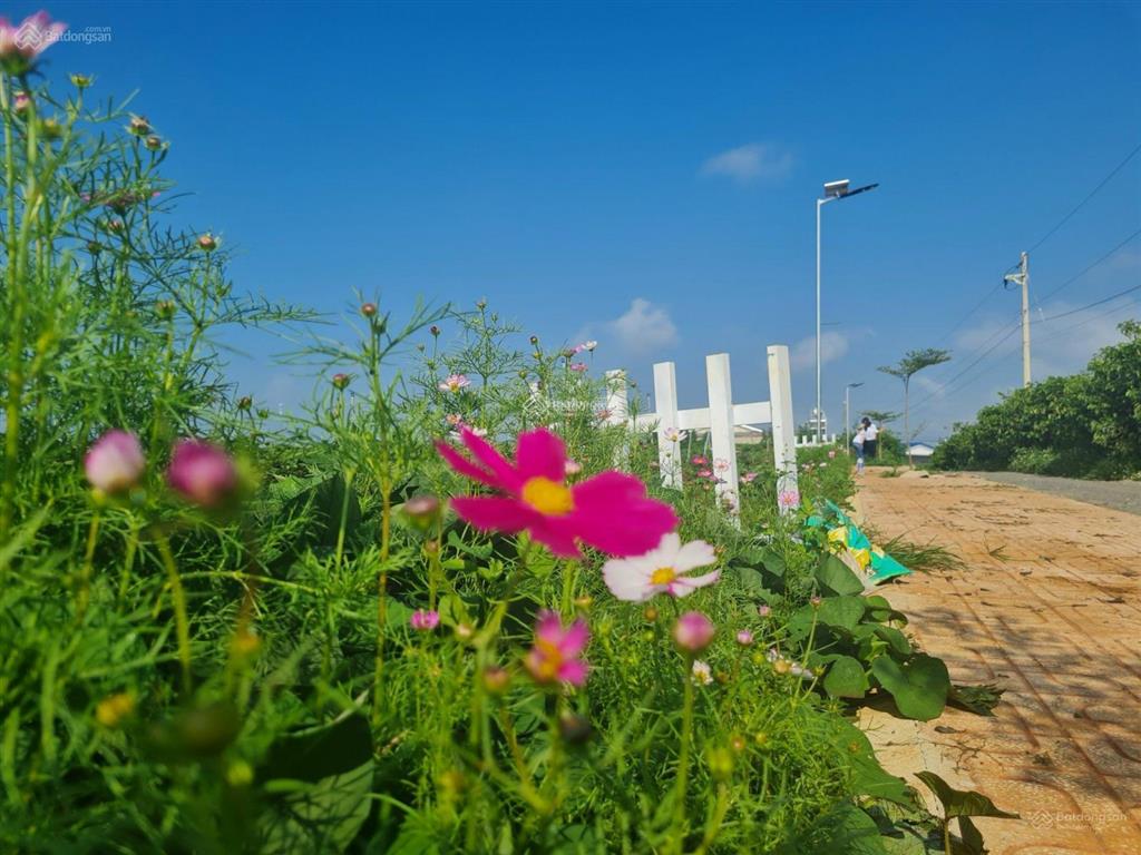 1049m2 quy hoạch full thổ cư. sẵn 100m2 thổ cư.  hà 0986 570 ***