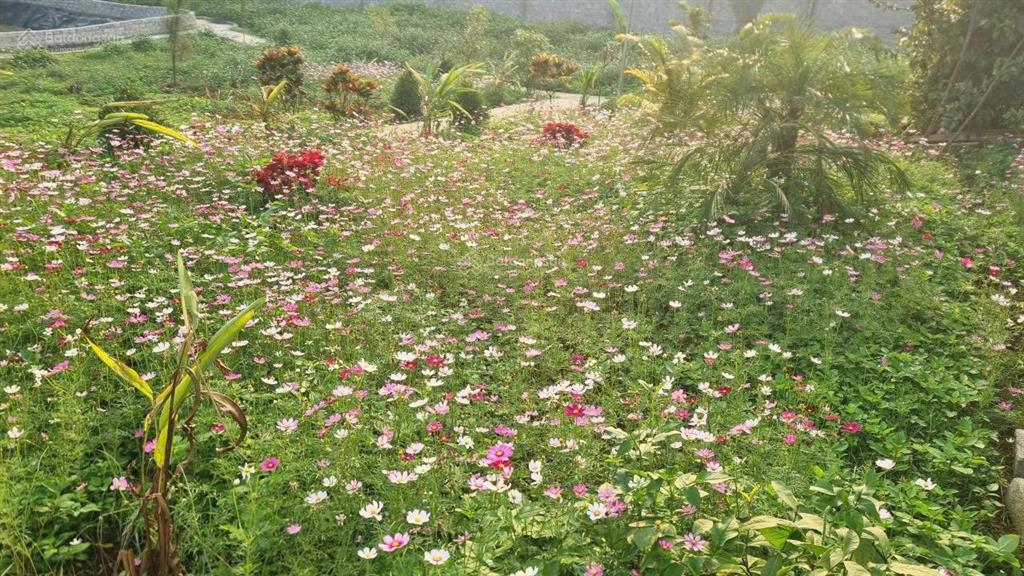 Chính chủ cần chuyển nhượng lô đất nghỉ dưỡng 3100m2 tâm huyết