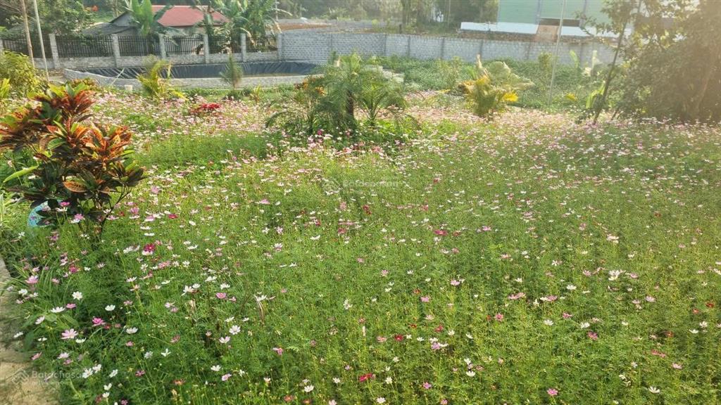 Chính chủ cần chuyển nhượng lô đất nghỉ dưỡng 3100m2 tâm huyết