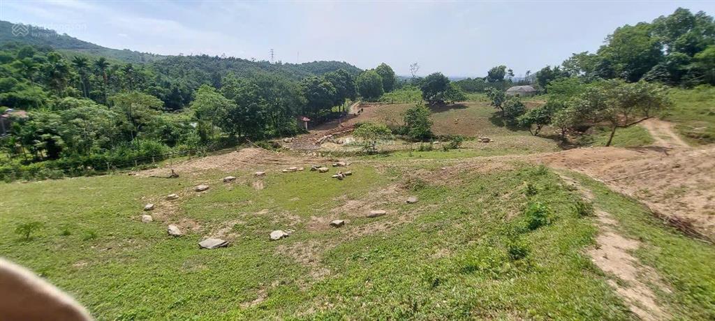 Cần bán nhanh khu đất siêu đẹp, siêu hiếm tại lương sơn, hòa bình, 16.430m2