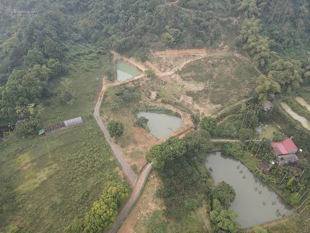 Cần bán nhanh khu đất siêu đẹp, siêu hiếm tại lương sơn, hòa bình, 16.430m2