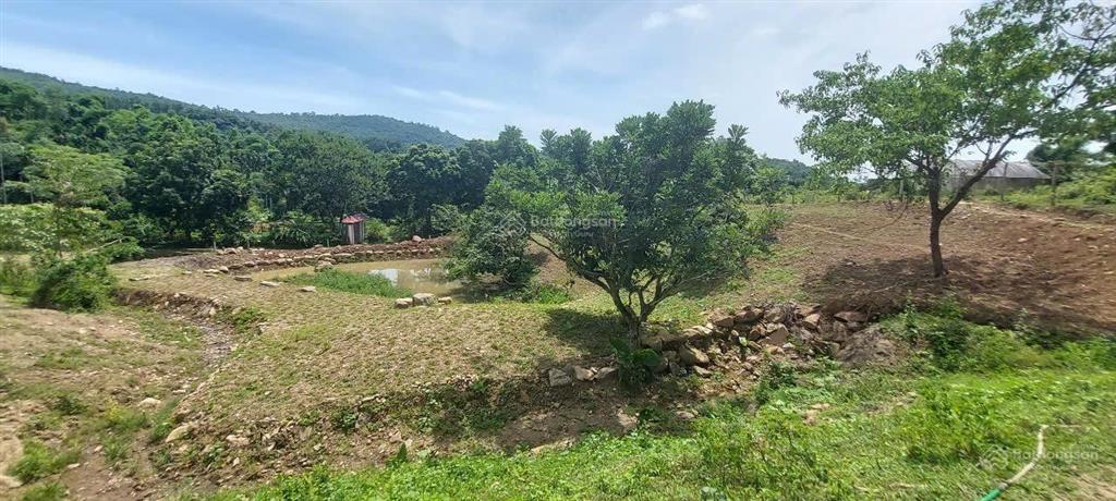 Cần bán nhanh khu đất siêu đẹp, siêu hiếm tại lương sơn, hòa bình, 16.430m2