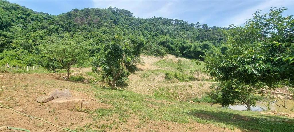 Cần bán nhanh khu đất siêu đẹp, siêu hiếm tại lương sơn, hòa bình, 16.430m2