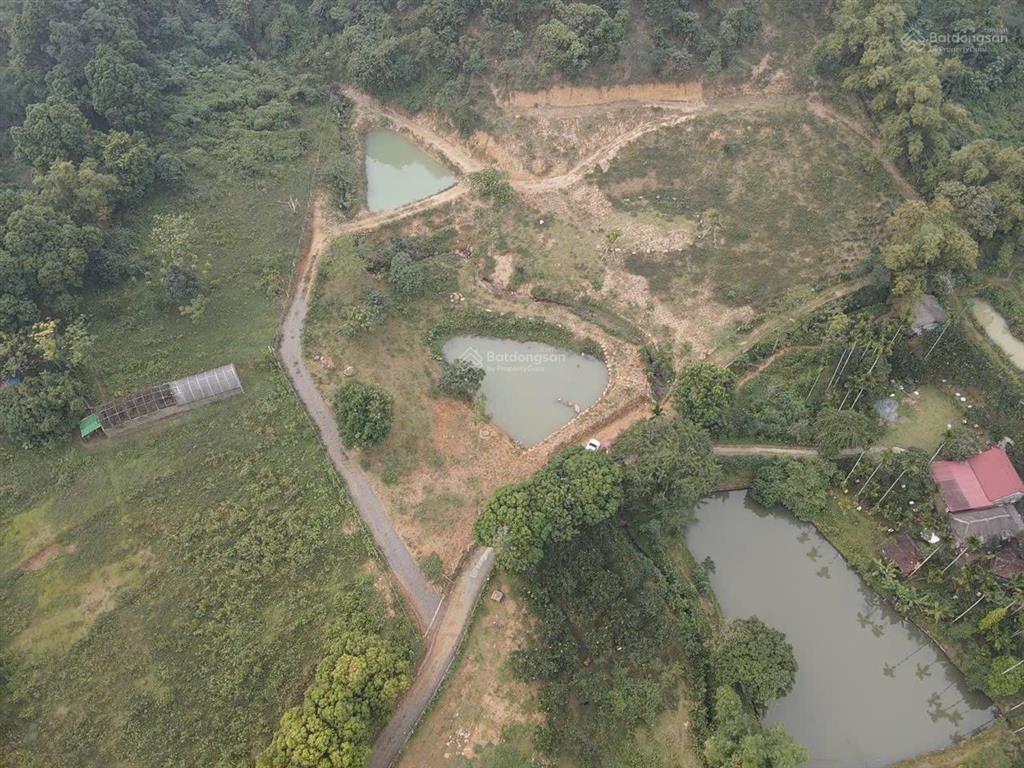 Cần bán nhanh khu đất siêu đẹp, siêu hiếm tại lương sơn, hòa bình, 16.430m2