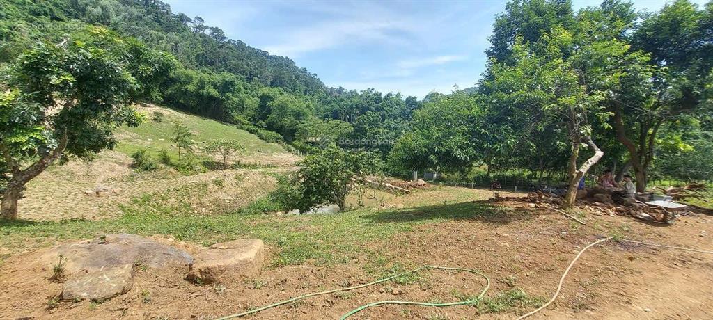 Cần bán nhanh khu đất siêu đẹp, siêu hiếm tại lương sơn, hòa bình, 16.430m2