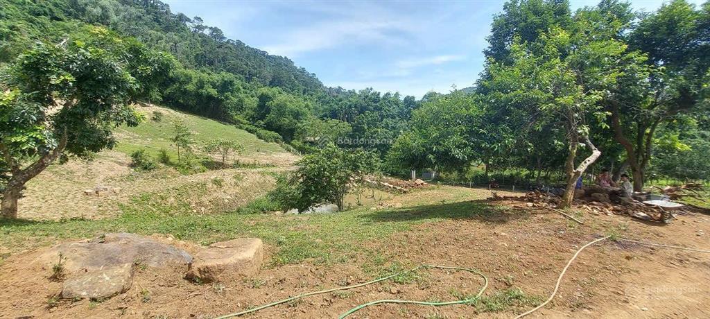 Cần bán nhanh khu đất siêu đẹp, siêu hiếm tại lương sơn, hòa bình, 16.430m2