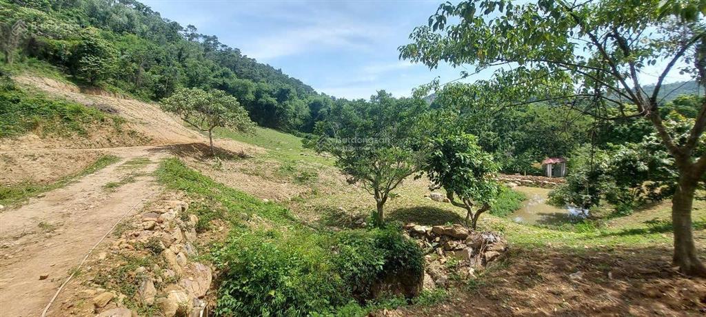 Cần bán nhanh khu đất siêu đẹp, siêu hiếm tại lương sơn, hòa bình, 16.430m2