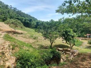 Cần bán nhanh khu đất siêu đẹp siêu hiếm tại lương sơn hòa bình 16.430m2