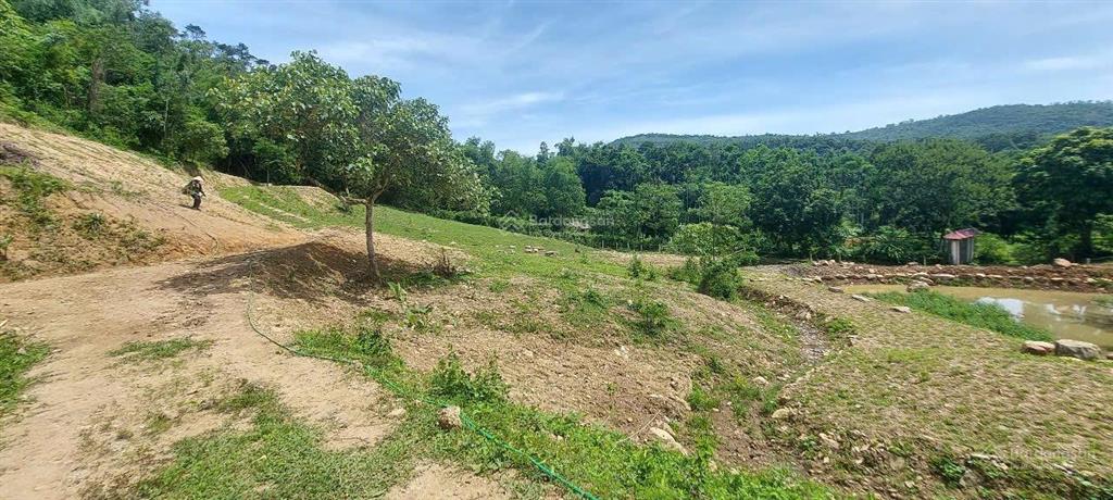 Cần bán nhanh khu đất siêu đẹp, siêu hiếm tại lương sơn, hòa bình, 16.430m2