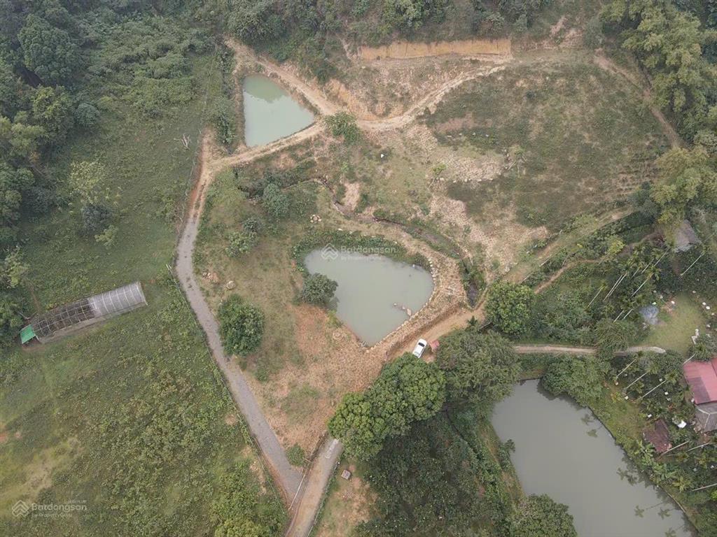 Cần bán nhanh khu đất siêu đẹp, siêu hiếm tại lương sơn, hòa bình, 16.430m2