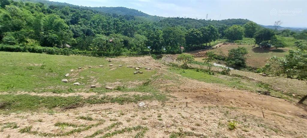 Cần bán nhanh khu đất siêu đẹp, siêu hiếm tại lương sơn, hòa bình, 16.430m2