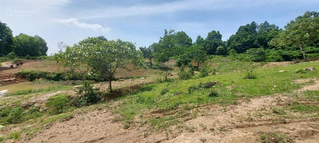 Cần bán nhanh khu đất siêu đẹp, siêu hiếm tại lương sơn, hòa bình, 16.430m2