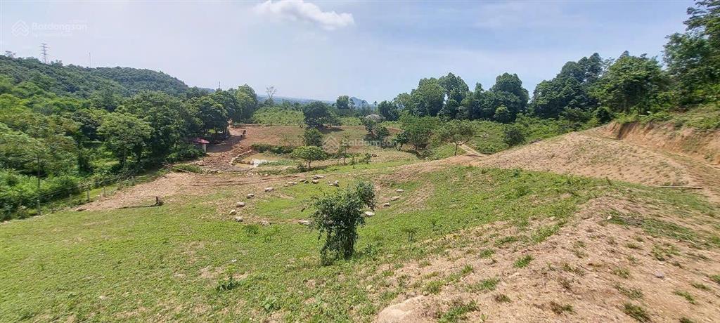 Cần bán nhanh khu đất siêu đẹp, siêu hiếm tại lương sơn, hòa bình, 16.430m2