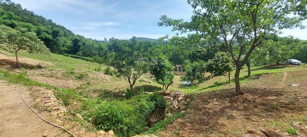 Cần bán nhanh khu đất siêu đẹp, siêu hiếm tại lương sơn, hòa bình, 16.430m2