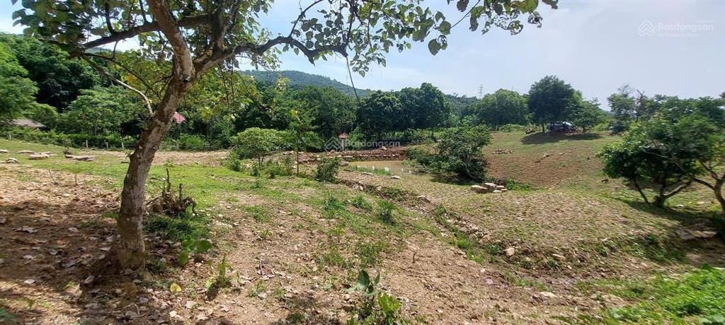 Cần bán nhanh khu đất siêu đẹp, siêu hiếm tại lương sơn, hòa bình, 16.430m2