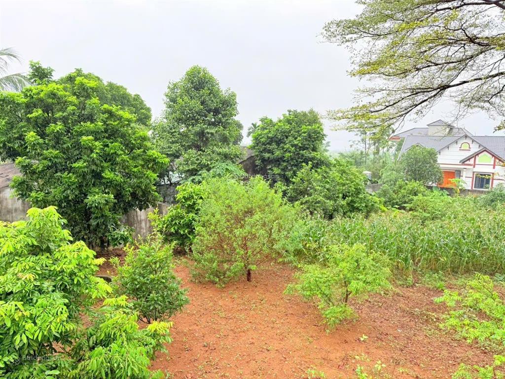 Bán đất tại cư yên, lương sơn, hòa bình, 5,5 tỷ, 1667m2. liền kề khu công nghiệp nhuận trạch