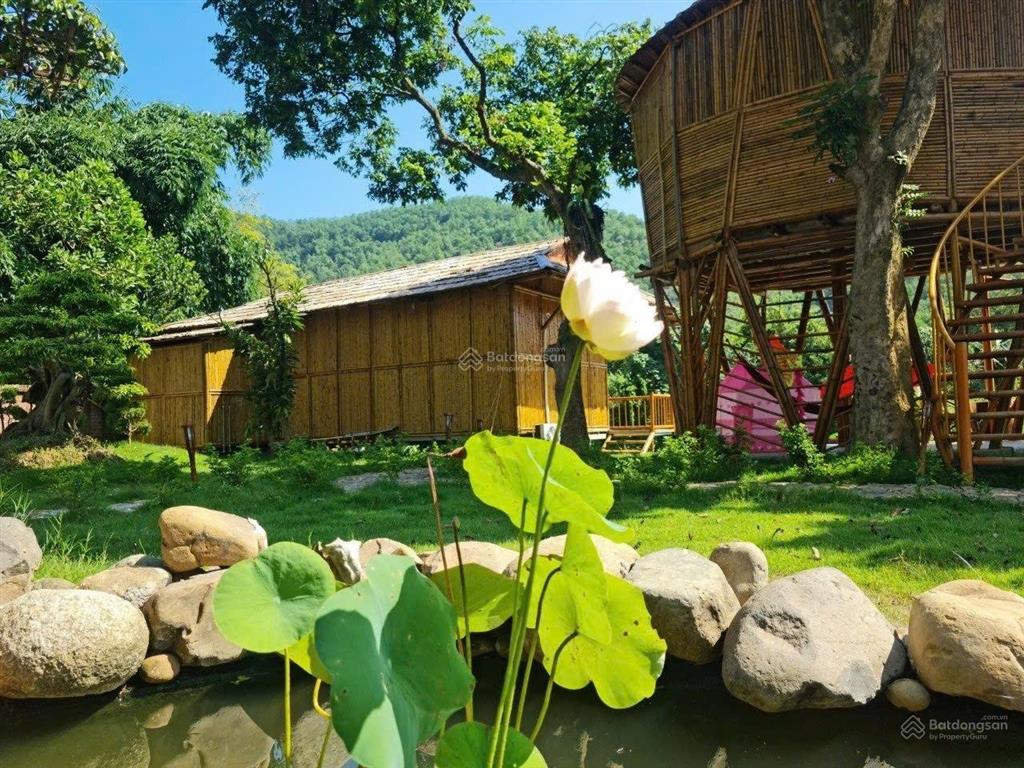 Cần bán homestay 1528m2 bám suối đang kinh doanh ổn định