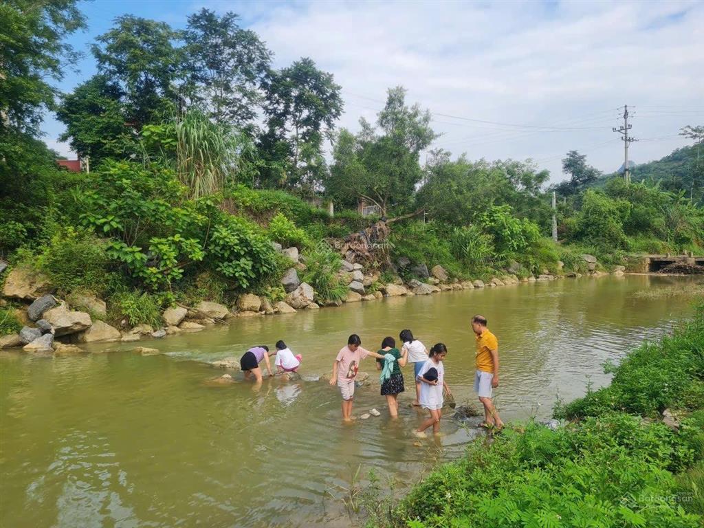 Cần bán homestay 1528m2 bám suối đang kinh doanh ổn định