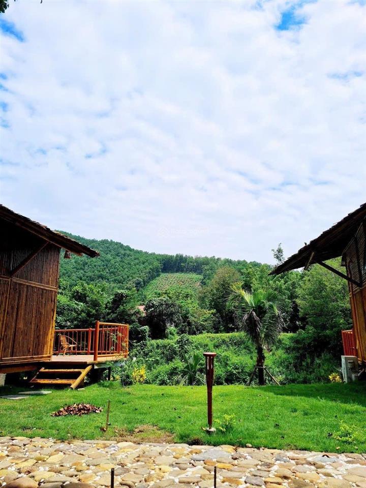 Cần bán homestay 1528m2 bám suối đang kinh doanh ổn định
