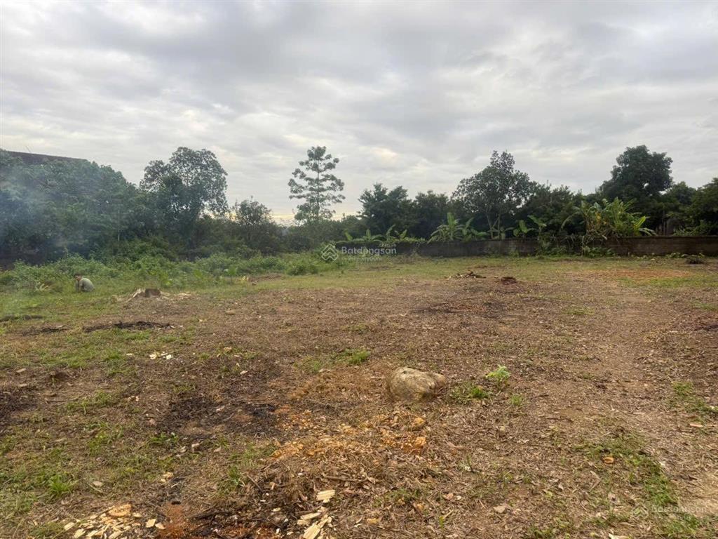 Quỹ đất 1.422m2, 400m2 thổ cư hòa sơn, lương sơn