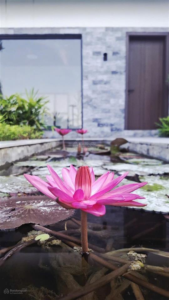 Siêu phẩm nhà vườn nghỉ dưỡng giữa thung lũng tiến sơn, liên sơn, phú thọ. giá hơn 6 tỷ
