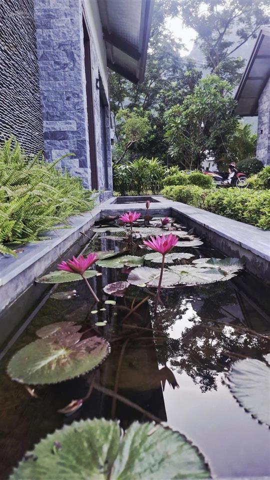 Siêu phẩm nhà vườn nghỉ dưỡng giữa thung lũng tiến sơn, liên sơn, phú thọ. giá hơn 6 tỷ