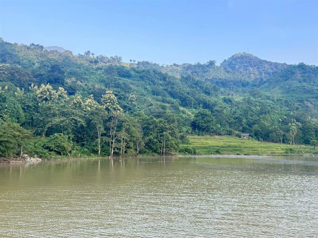 Bán đất 300ha mường tuổng, đà bắc, hòa bình