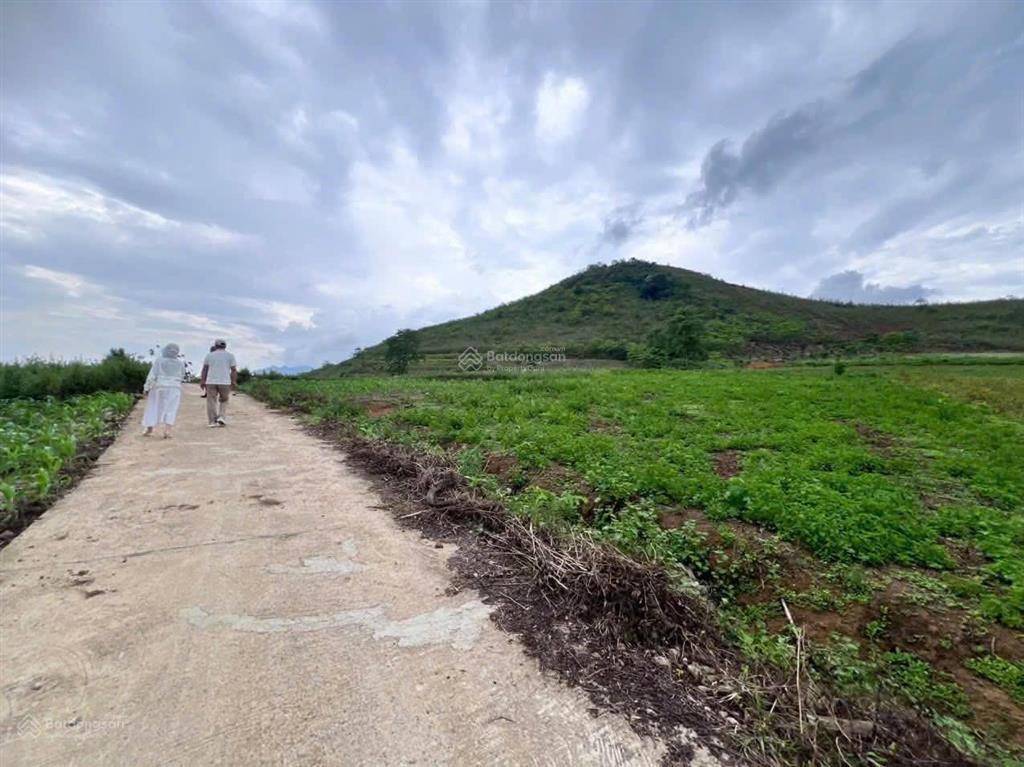 Bán đất 300ha mường tuổng, đà bắc, hòa bình