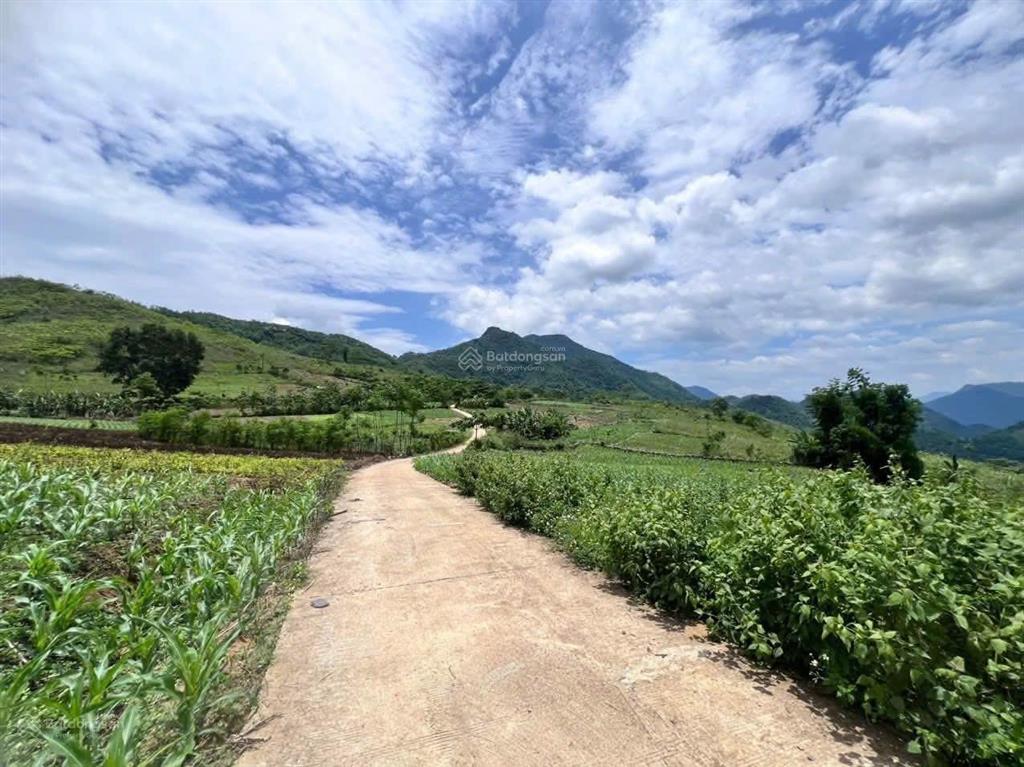 Bán đất 300ha mường tuổng, đà bắc, hòa bình