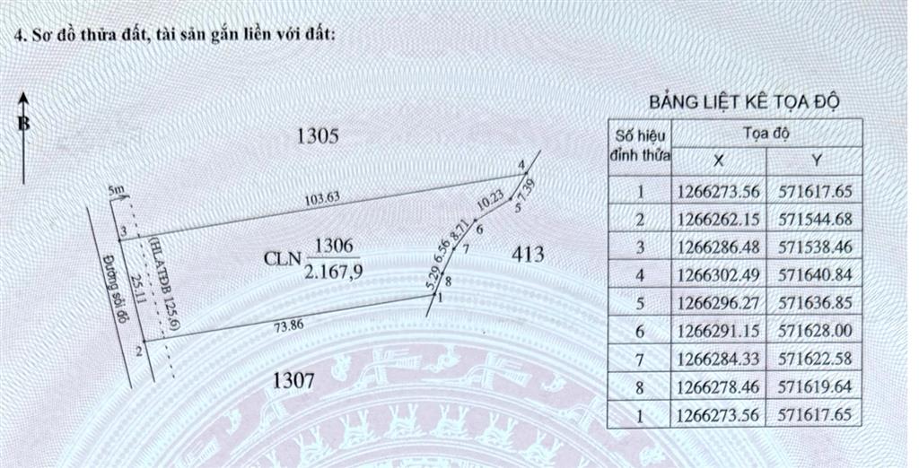 Chính chủ bán đất 12420,8m² đã tách 5 sổ tại minh hòa, dầu tiếng, bình dương giá chỉ 2 triệu/m2.