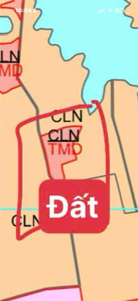 Chính chủ bán đất 12420,8m² đã tách 5 sổ tại minh hòa, dầu tiếng, bình dương giá chỉ 2 triệu/m2.