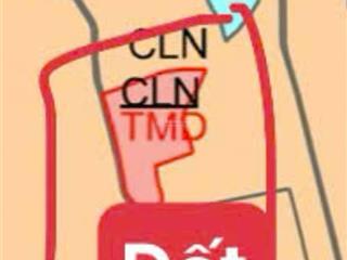 Chính chủ bán đất 12420,8m² đã tách 5 sổ tại minh hòa, dầu tiếng, bình dương giá chỉ 2 triệu/m2.