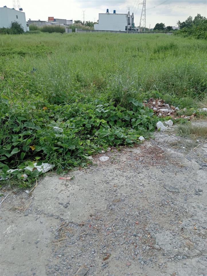 Chính chủ bán  gấp 2.776m² đất thổ cư mặt tiền tỉnh lộ 826 gần chợ rạch kiến, giá 26 tỷ