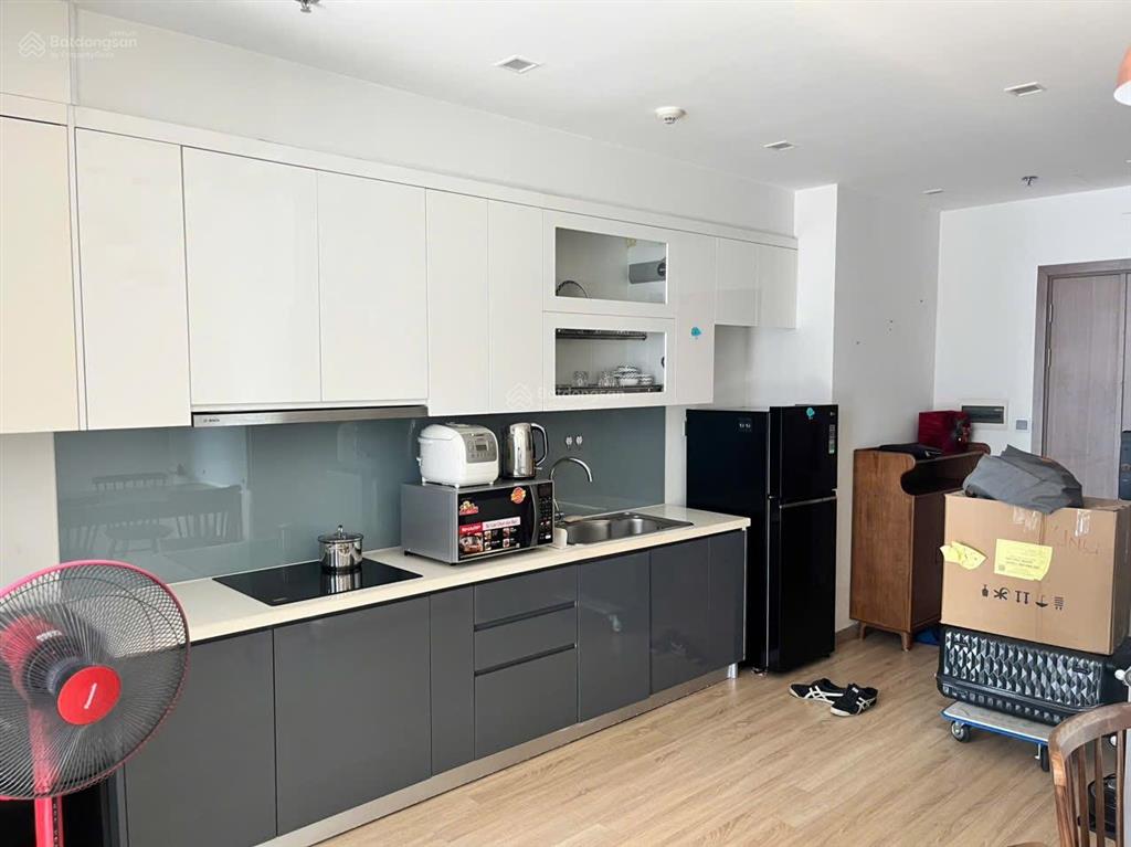 Cho thuê căn hộ 1 ngủ cao cấp vinhomes metropolis m1, 29 liễu giai