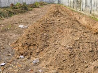 1700m2 thổ cư mặt tiền nguyễn hữu trí cách nút giao 2 cao tốc & vành đai 3 chỉ 2,3km