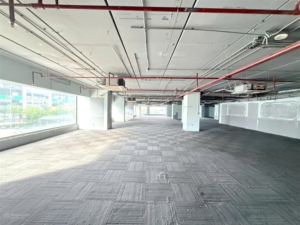 Cho thuê văn phòng 527m² mặt đường hoàng đạo thúy sàn đẹp, 2 mặt view, giá chỉ 300 nghìn/m²/th