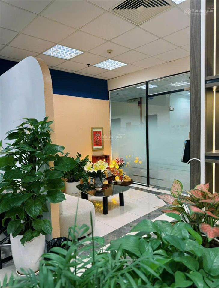 Cho thuê văn phòng tòa hapulico nguyễn huy tưởng, 200m2, đẹp lung linh chỉ 280 nghìn/m2/th