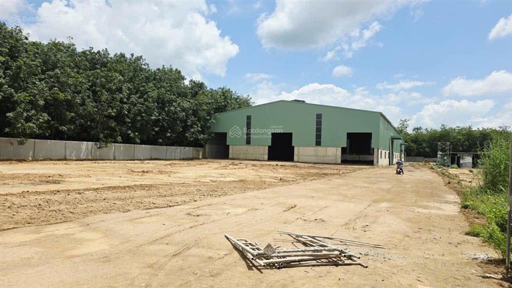 Cho thuê kho xưởng dt 7000m2 đất. giá 250 triệu/tháng tại chánh phú hòa, bến cát, bình dương