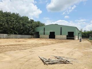 Cho thuê kho xưởng dt 7000m2 đất. giá 250 triệu/tháng tại chánh phú hòa, bến cát, bình dương