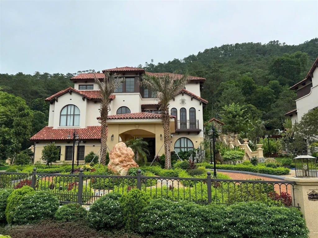 Giỏ hàng độc quyền dự án thanh xuân valley mua trực tiếp chủ đầu tư